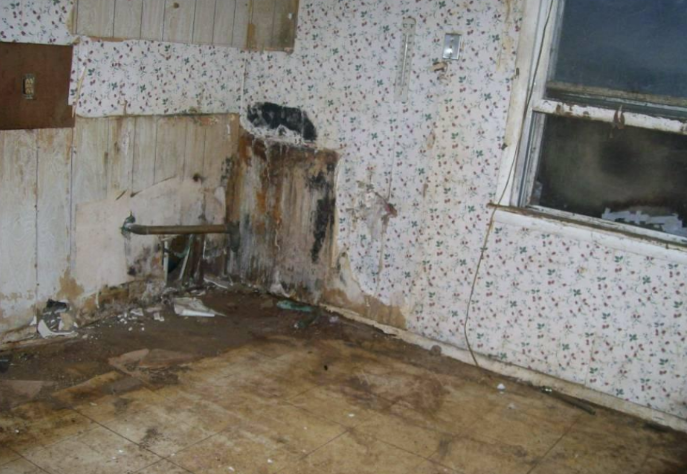 Before photo 7