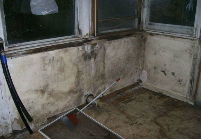 Before photo 2