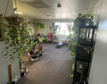 Before photo 7