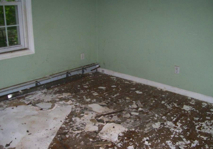 Before photo 6