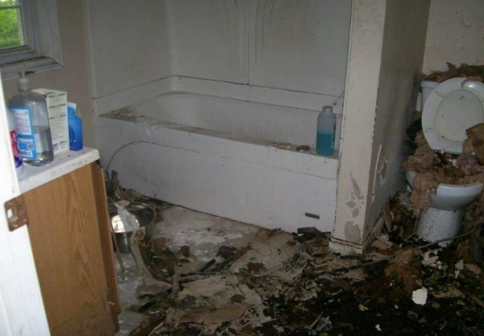 Before photo 8