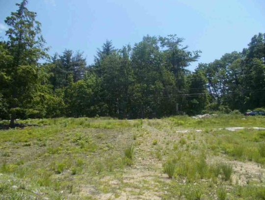 Before photo 1